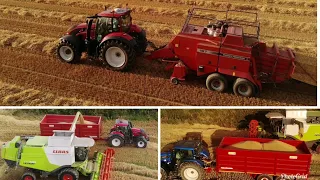 harvest 2019 spring barley cutting and baling