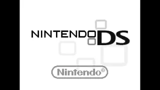 Nintendo DS startup intro (2004)