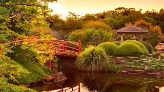 Entspannungsmusik - Entspannen Garten - Meditationsmusik