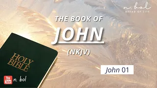 John 1 - NKJV Audio Bible with Text (BREAD OF LIFE)