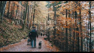 Eibsee in Autumn - #Germany - 4k