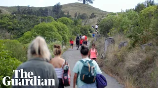 Major earthquake in New Zealand triggers tsunami warning and evacuations