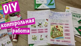 DIY Как сделать итоговую КОНТРОЛЬНУЮ РАБОТУ для Школы Басиков / Приветики подписчикам