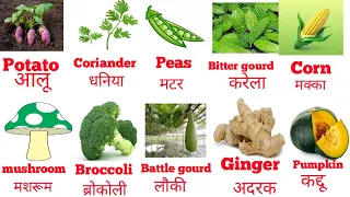 Learning Vegetables Name English and Hindi | Vegetable Name Learning Videos | Education Kids Video |