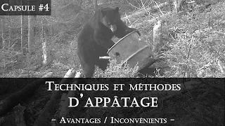 Comment chasser l'ours : Techniques & méthodes d'appâtage (Capsule #4)