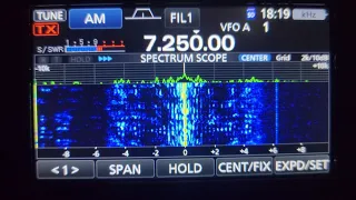 SWL Radio China coming in good on the Icom 7300.