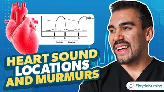 Heart Sound Locations & Murmurs for Nursing | Cardiac Assessment