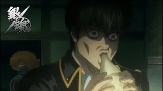 Hijikata funny moments - Gintama "銀魂"