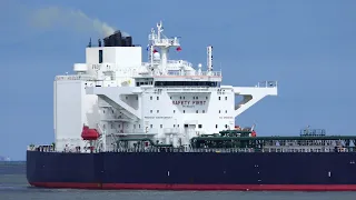 SHIPSPOTTING ROTTERDAM - ARRIVAL AND DEPARTURE COMPILATION #246