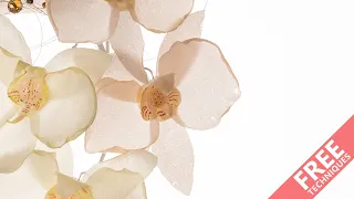 Learn how to make a wafer paper orchid...