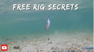 "Unlocking the Secrets of Free Rig Bass Fishing: Dive into the Depths with  Underwater Footage!"