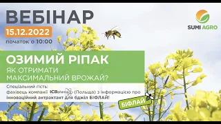 Вебінар "Озимий ріпак. Як отримати максимальний врожай?" / 15.12.2022 р.