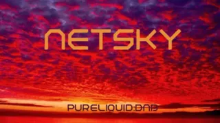 Netsky Tribute Mix (Pure:Liquid) Mix: 216