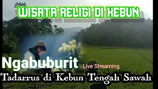 NGABUBURIT DI KEBUN TENGAH SAWAH PONDOK KECIL