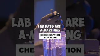 Good Laboratory Slogans | Slogans Hub