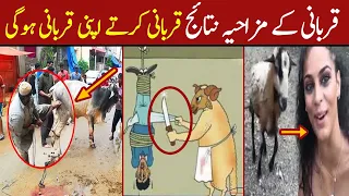 Qurbani Funny Video 2022 | Eid ul azha Funny Moments Caught On Camera | Anari Qasai Videos | PART 4