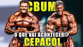 CBUM VS WESLEY VISSERS NO OLYMPIA! ANÁLISE TÉCNICA