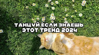 🌸Танцуй если знаешь тренды 🌸