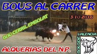 BOUS AL CARRER - ALQUERIAS DEL NIÑO PERDIDO (C) 2016 - CERRIL EMBOLADO (3-10-2016) - 1080 FULL HD