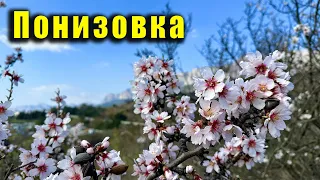 Крым, посёлок Понизовка, море и цветущий миндаль. Урезанная версия (читайте описание).