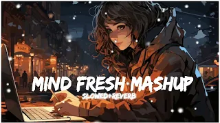 Mind Fresh Mashup ☺️||Arjit Singh ❤️||Slowed Reverb||Mind Fresh Lo-Fi Song 🤗||Trending Song