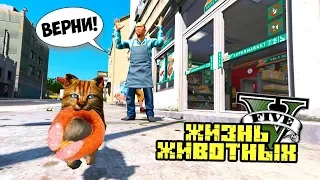 КОТ УКРАЛ КОЛБАСУ ИЗ МАГАЗИНА! ПРОДАВЕЦ ВЫЗВАЛ ПОЛИЦИЮ! ЖИЗНЬ ЖИВОТНЫХ В GTA 5. Серия 3