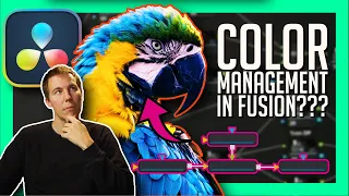 Color Management in Fusion
