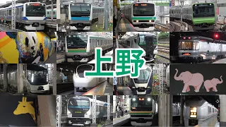 【カシオペア・四季島も登場！】JR東日本 上野駅に集まるいろいろな在来線 発着集　Ueno train