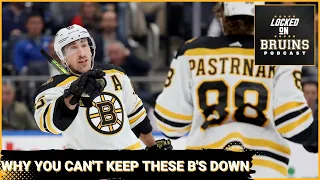 Why you simply can't keep these Bruins down