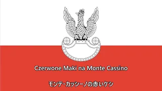 【ポーランド】 モンテ・カッシーノの赤いケシ / Czerwone maki na Monte Cassino