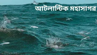 আটলান্টিক মহাসাগর:বিশ্বের ২য় বৃহত্তম মহাসাগর। Atlantic is the 2nd largest ocean in the world. সমাকুল