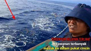 tersenyum nelayan terlihat kawanan ikan terbanyak masuk kedalam jaring pukat cincin