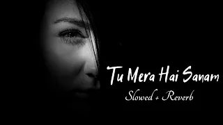 Tu Mera Hai Sanam (Slowed + Reverb) Altaf Slowed Lofi Song | Another Sad Night