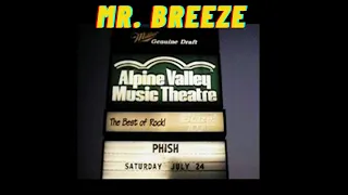 Mr. Breeze At Alpine Valley Phish Concert Crowd