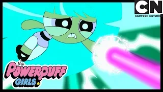 Powerpuff Girls | Mojo Jojo Was Bliss' Best Friend!? 🙉 | Cartoon Network