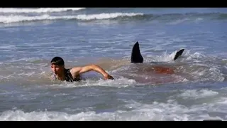 HORRIFYING SHARK ATTACKS Caught On Video AROUND THE WORLD !!!