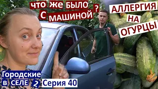 40 серия / вот так поломка в нашей машине! / копаем картошку / аллергия на огурцы / с кем мы едем