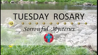 Tuesday Rosary • Sorrowful Mysteries of the Rosary 💜 August 22, 2023 VIRTUAL ROSARY - MEDITATION