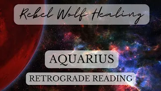 Aquarius Retrograde Reading Spiritual Evolution- Heading In the Right Direction Wisdom Inspiration