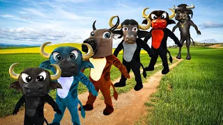 OS BOIS DA CARA PRETA MIX SONGS🐮 | AS MELHORES HISTORINHAS DOS BOIS EM DESENHO INFANTIL | THE BEST🏆🐂