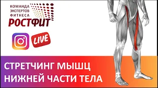 Растяжка мышц ног - запись эфира от 12 ноября 2020 в @rostfit