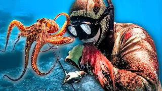 BITING LIVE OCTOPUS in the FACE (Catch and Cook)