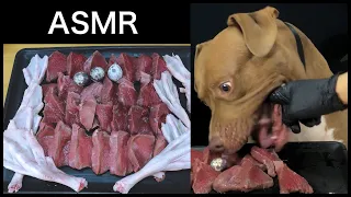 ASMR Pitbull eating raw beef duck leg and quail eggs!