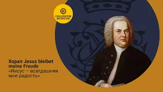 И.С.Бах Хорал Jesus bleibet meine Freude  "Иисус - всегдашняя моя радость" BWV 147
