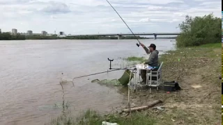 Язь на фидер, Иртыш, Омск, Алексей Чердынцев