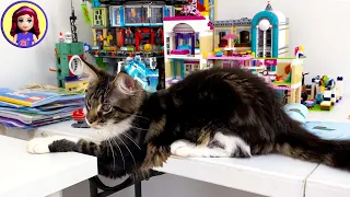 Rainbow Apartment Destruction! Lego VS Kitten
