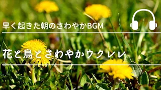 Natural Sonic「花と鳥とさわやかウクレレ」- 早く起きた朝のさわやかBGM -