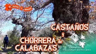 CASTAÑOS y CHORRERA de CALABAZAS