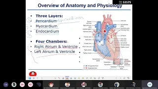 Health Assessment - Lecture 7 - Assessment of Heart and Neck Vessels.