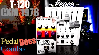 Effect Pedal Combo: Bass T-120 V1 Videotape Echo V1 by Demedash Effects+CXM 1978 by Chase BlissAudio